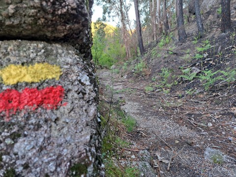 As Montanhas Mais Bonitas do Norte de Portugal: Um Guia para Amantes da Natureza
