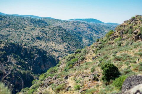 Grande Rota do Vale do Côa