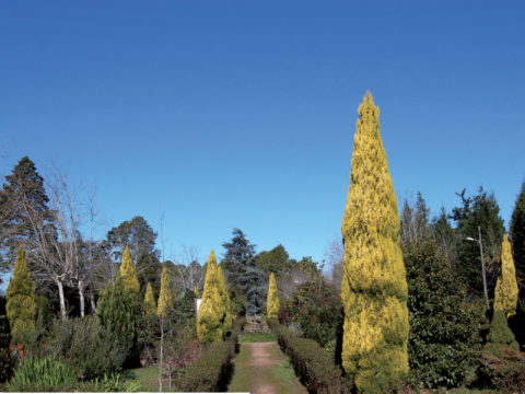 Percurso Interpretativo Mata Nacional de Vale de Canas