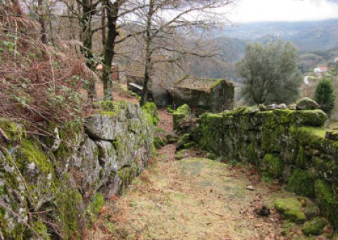 Caminhos do Pão Caminhos da Fé