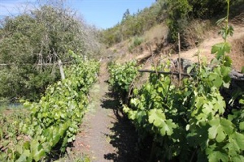 Caminho do Xisto de Amioso - Rota dos Aromas e Sabores