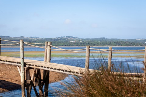 Trilho dos Patos Reais