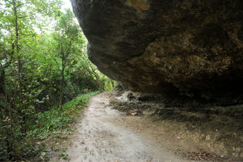 Rota do Vale do Lapedo
