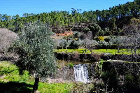 Rota dos Lagares – Almaceda