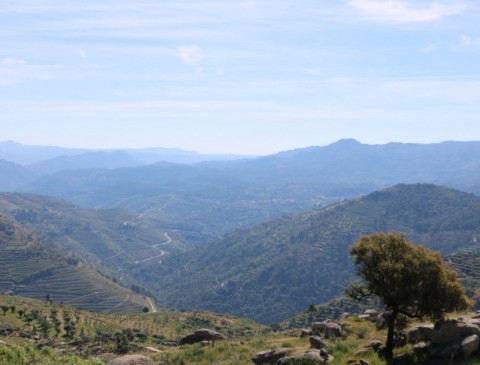 Trilho de Santa Eugénia - Carlão