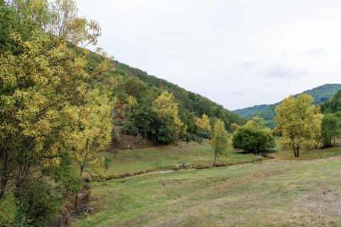 Entre Carvalhais e Vales encaixados