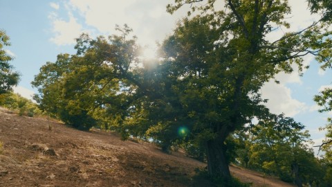 Nas Fraldas da Serra da Nogueira