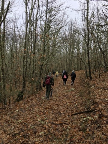 Da Via Romana aos Carvalhais e Lameiros