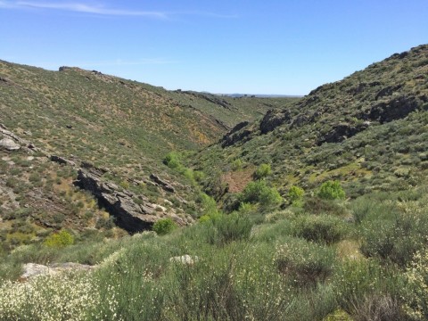 Entre as ribeiras da Veiga e de Vilalva, à descoberta dos olivais