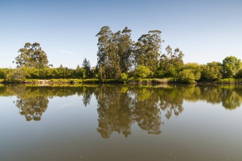 Grande Rota da Ria de Aveiro - Percurso Azul